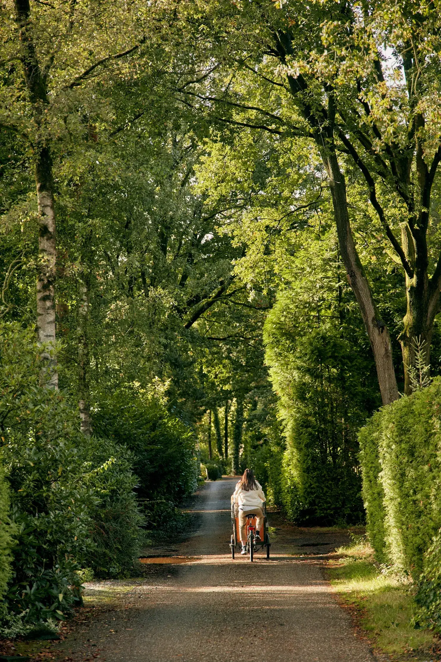 Fietser op een landweg tussen de bomen