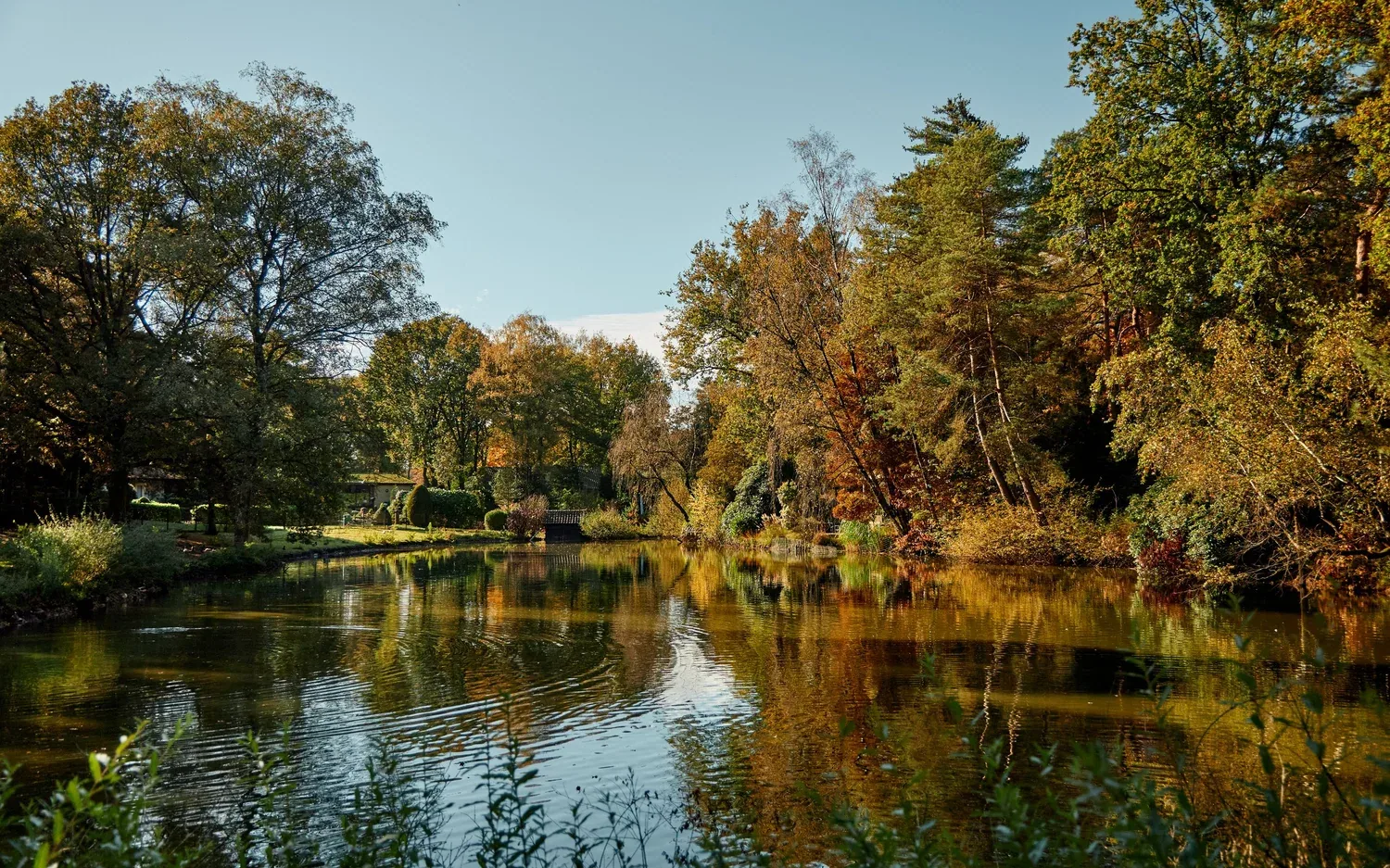 De vijver van Parc de Kievit in herfstkleuren