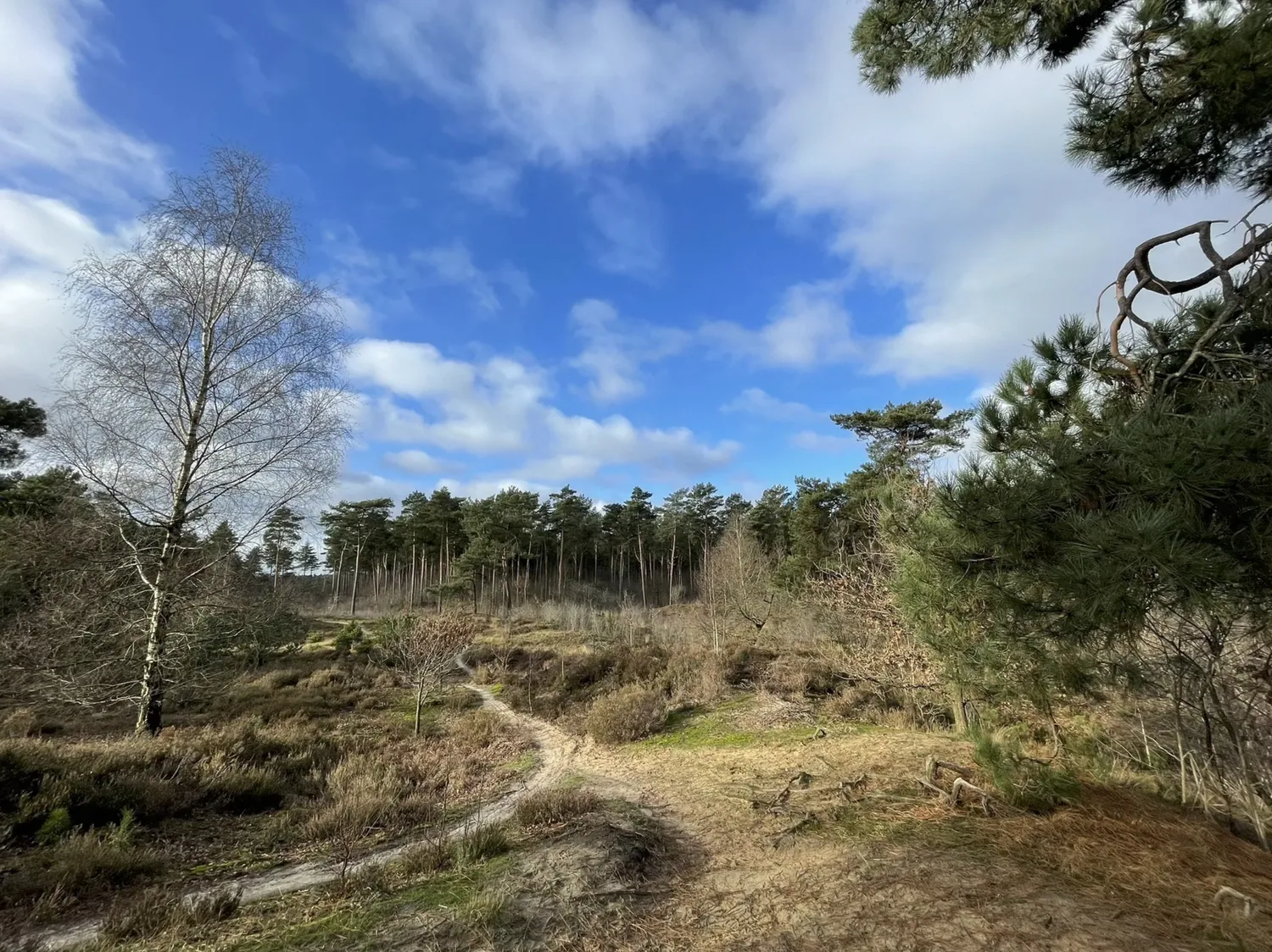 MTB-route Alphen